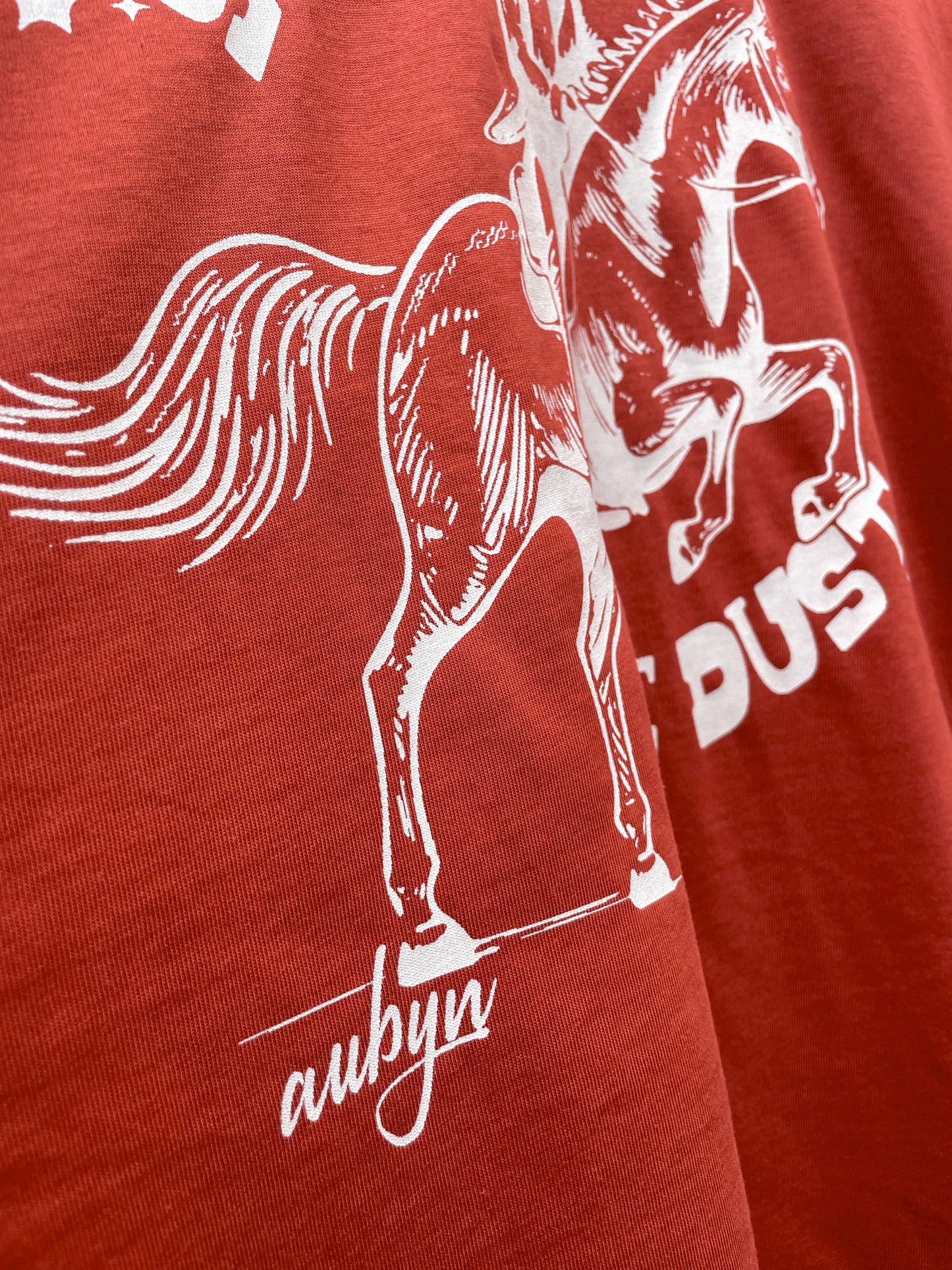 Shake Off The Dust Tee in Brick Red