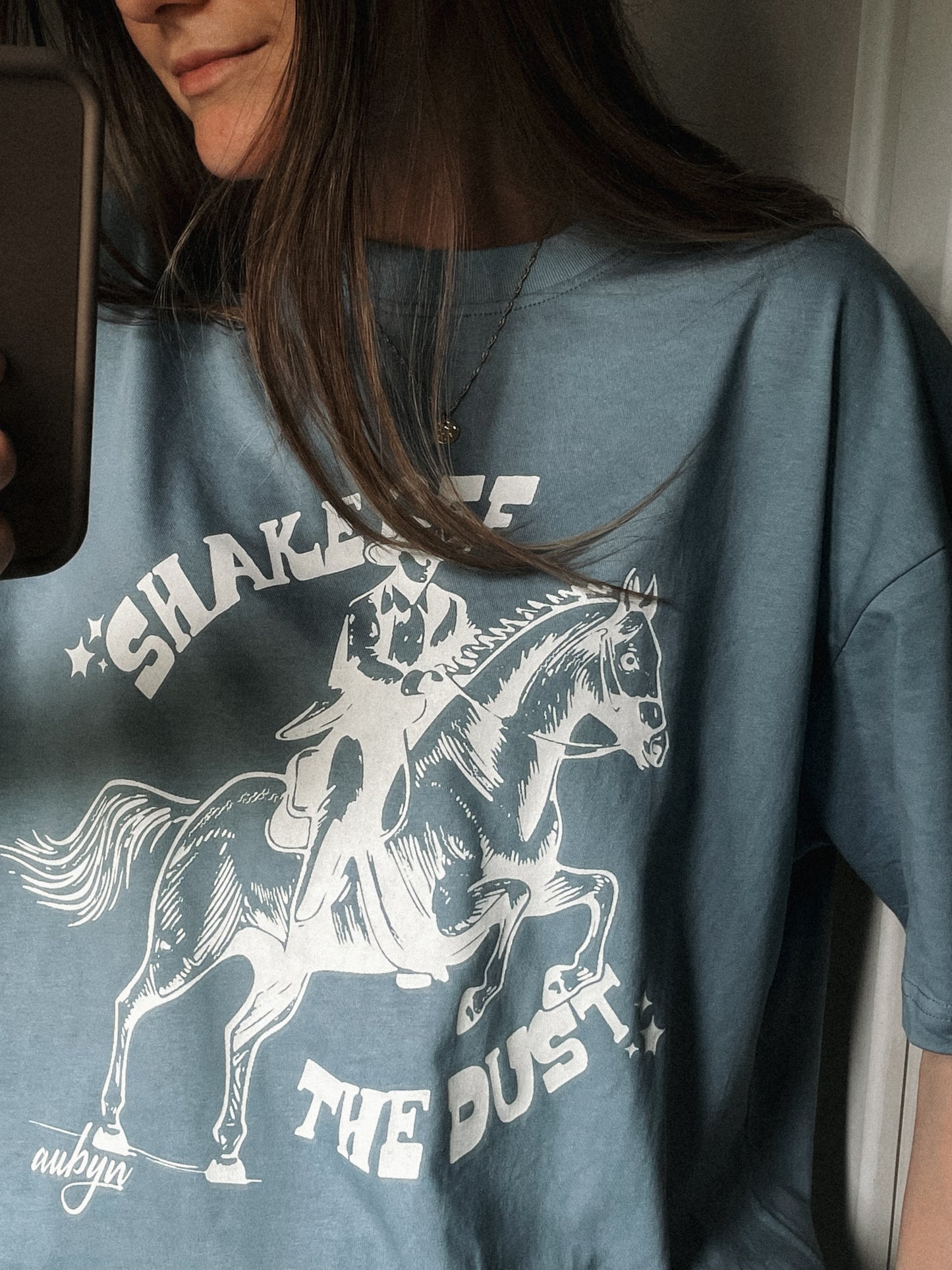 Shake Off The Dust Tee in Washed Blue