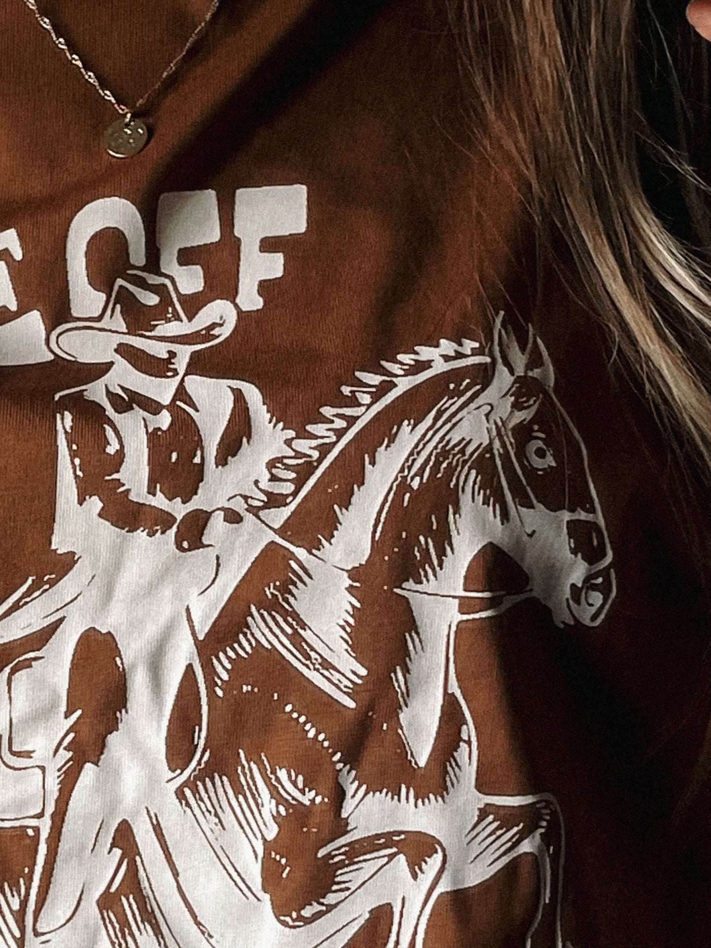 Shake Off The Dust Tee in Brown